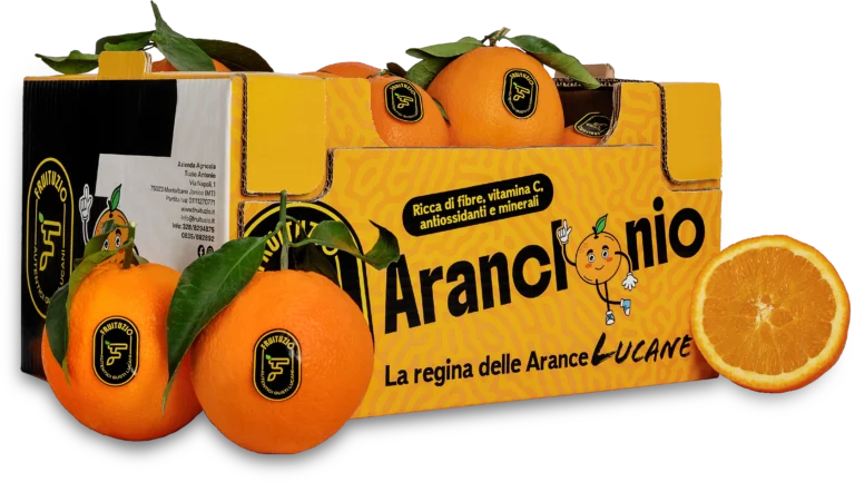 cassetta arance bio