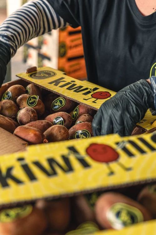 kiwi ricco di vitamine